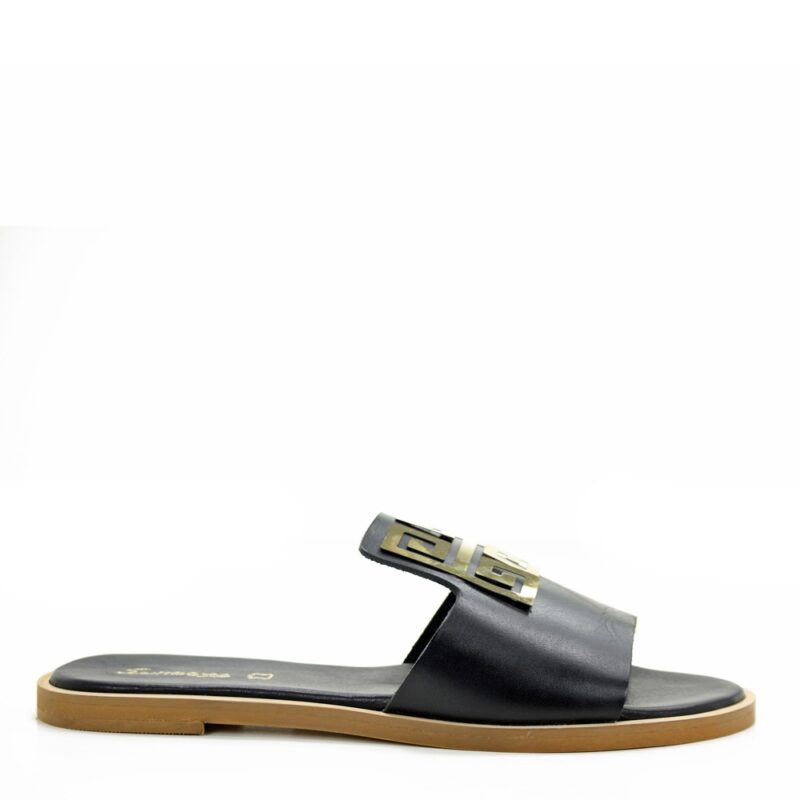 2d53-1_1.jpg